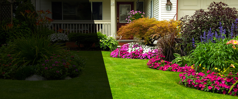 New Salisbury Landscapers