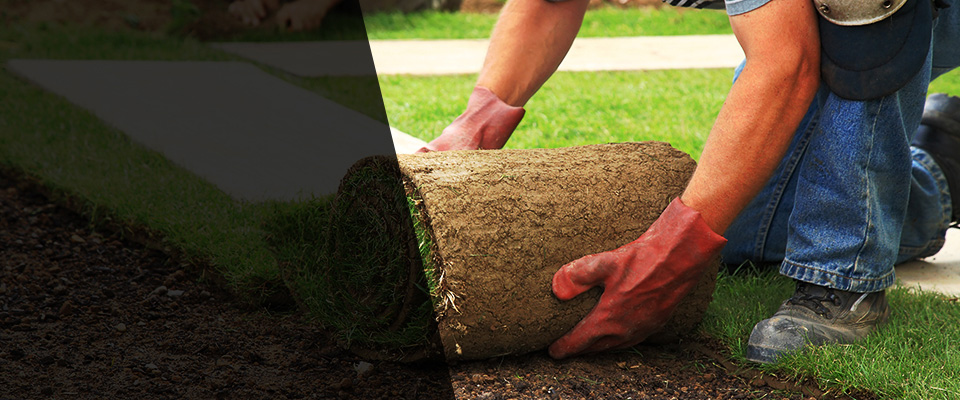 New Salisbury Landscapers